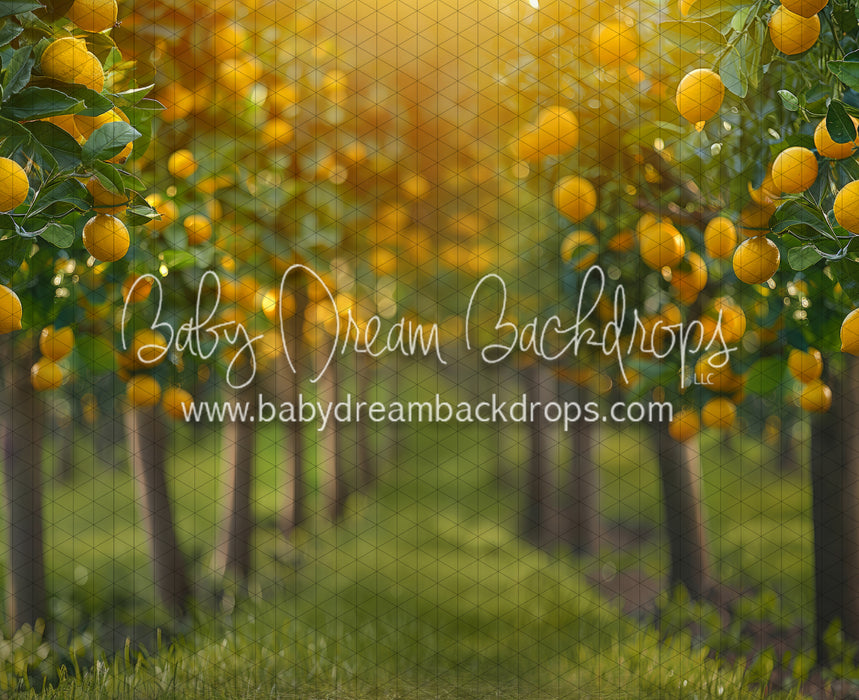 Lemonade Grove Glow (JA)