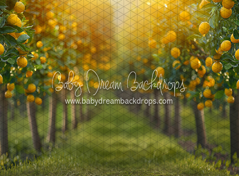 Lemonade Grove Glow (JA)