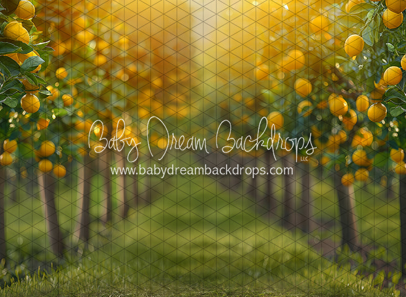 Lemonade Grove Glow (JA)