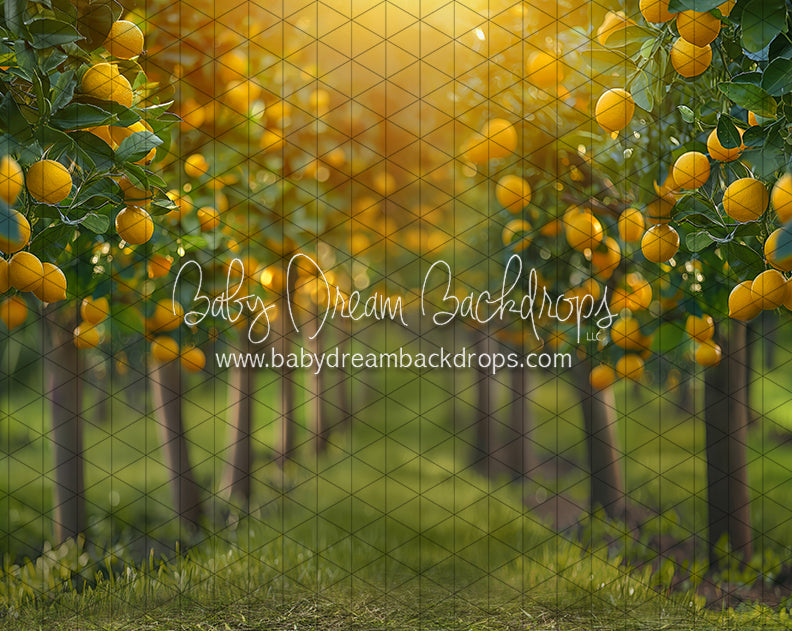 Lemonade Grove Glow (JA)