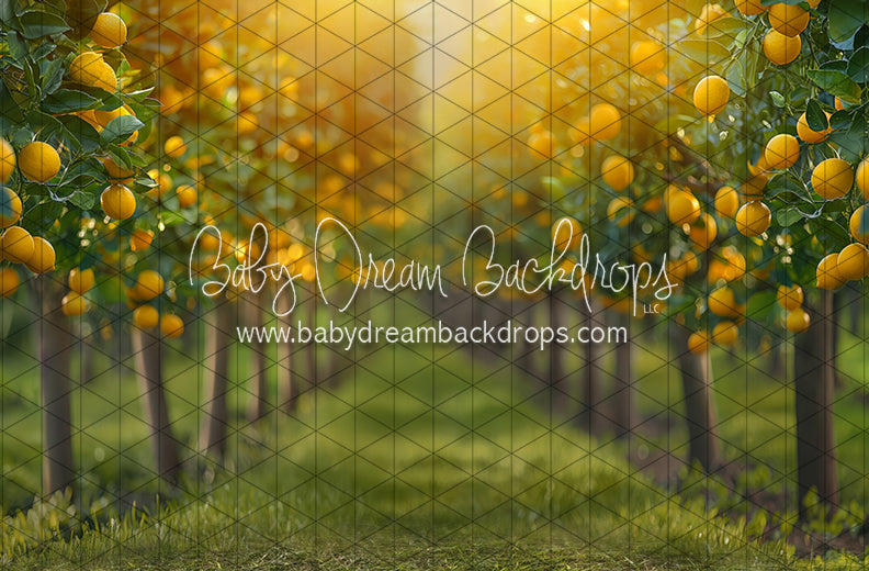 Lemonade Grove Glow (JA)