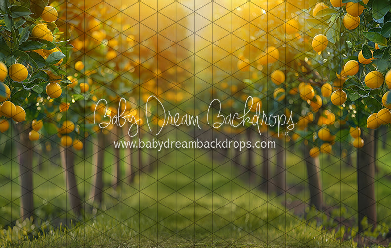 Lemonade Grove Glow (JA)