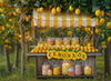 Lemonade Sweet Stand (JA)