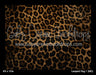 Leopard Rug 1 (MD)