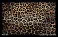 Leopard Rug 1 Light (MD)