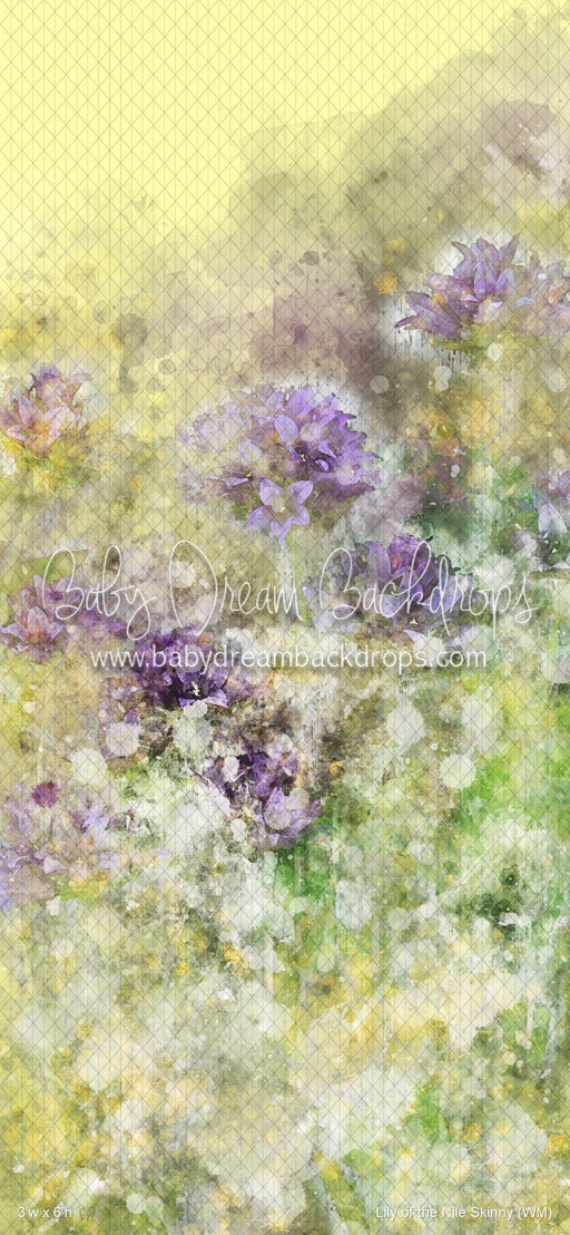 Lily of the Nile Skinny (WM)