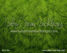 Lime & Blush Plush Floor (GO)