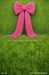 Lime & Blush Plush Sweep (GO)