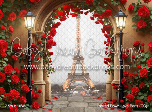Locked Down Love Paris (CC)