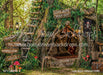 Lost Boys Hideout (WM)