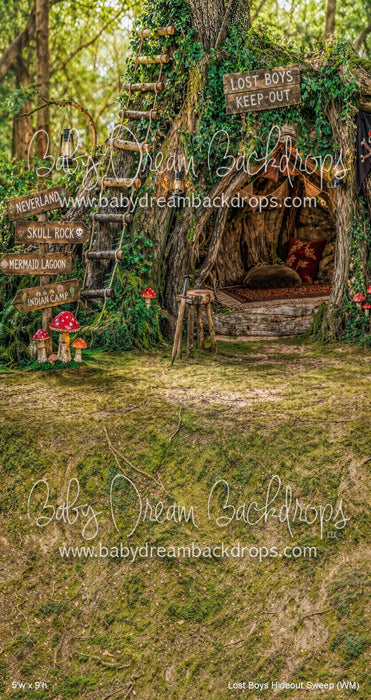Lost Boys Hideout Sweep (WM)