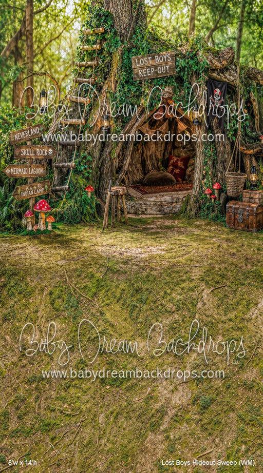 Lost Boys Hideout Sweep (WM)
