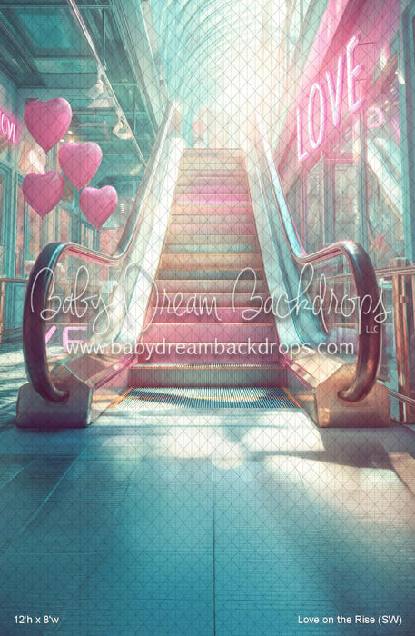 Love on the Rise (SW)