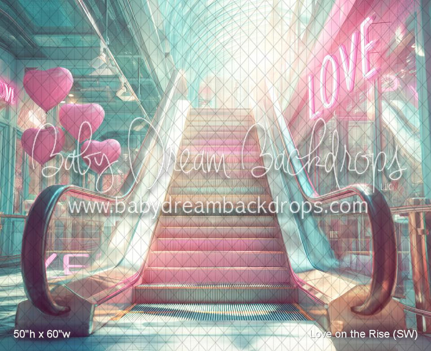 Love on the Rise (SW)