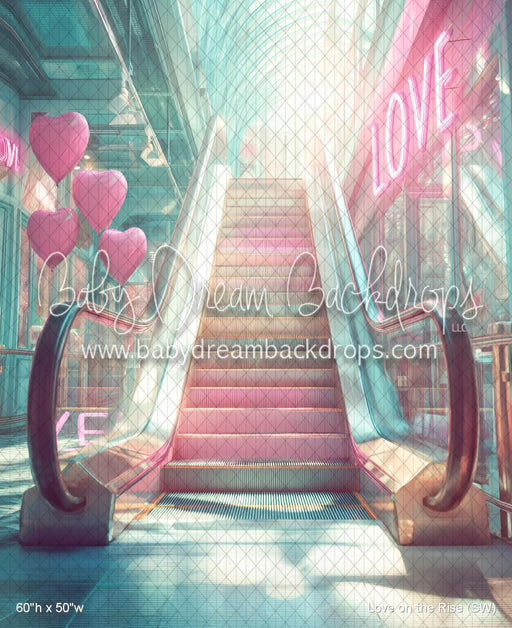 Love on the Rise (SW)