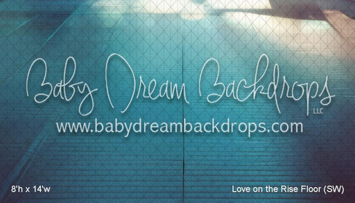 Love on the Rise Floor (SW)