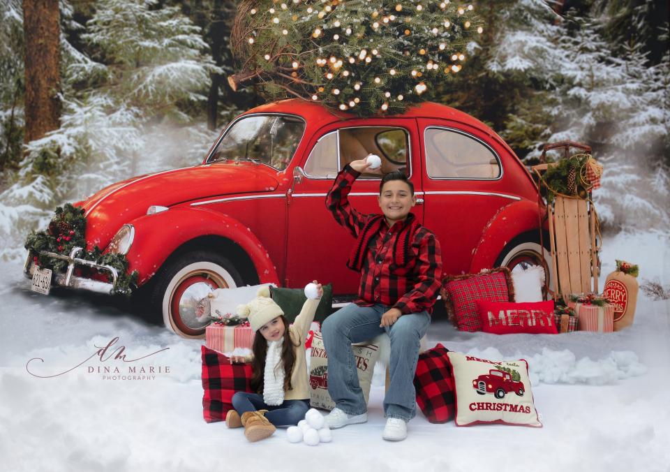 Love Bug Christmas Snow (Lights) (BS)