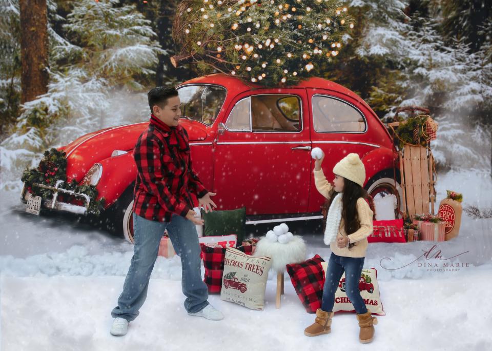 Love Bug Christmas Snow (Lights) (BS)