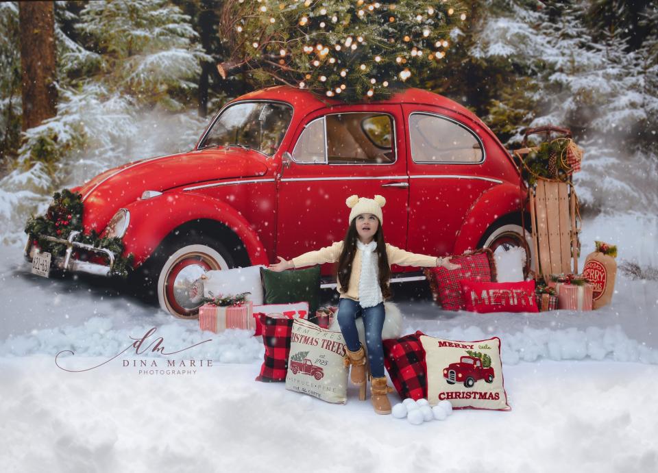 Love Bug Christmas Snow (Lights) (BS)