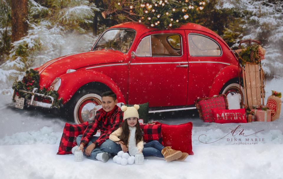 Love Bug Christmas Snow (Lights) (BS)