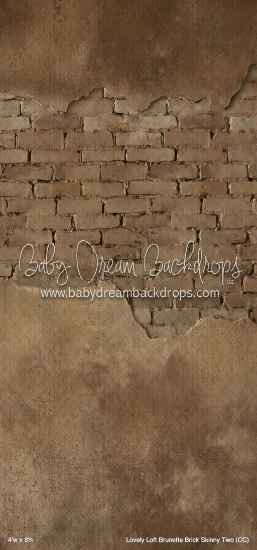 Lovely Loft Brunette Brick Skinny Two (CC)