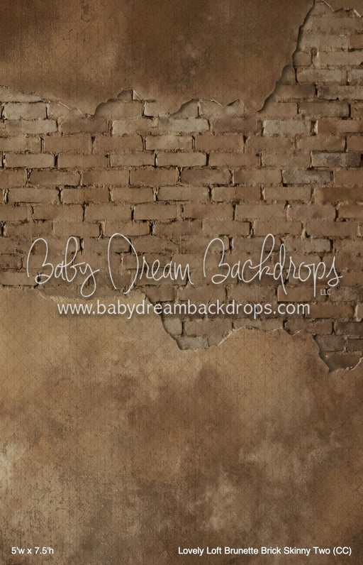 Lovely Loft Brunette Brick Skinny Two (CC)