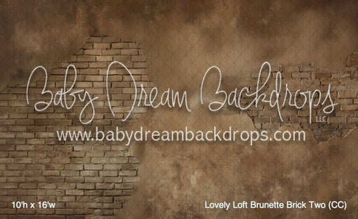 Lovely Loft Brunette Brick Two (CC)