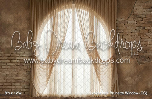 Lovely Loft Brunette Window (CC)