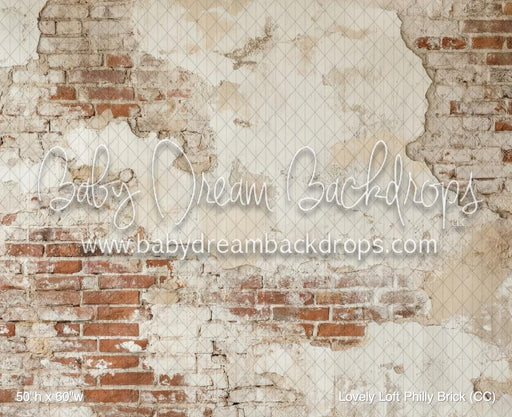 Lovely Loft Philly Brick (CC)