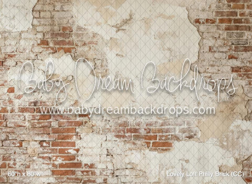 Lovely Loft Philly Brick (CC)