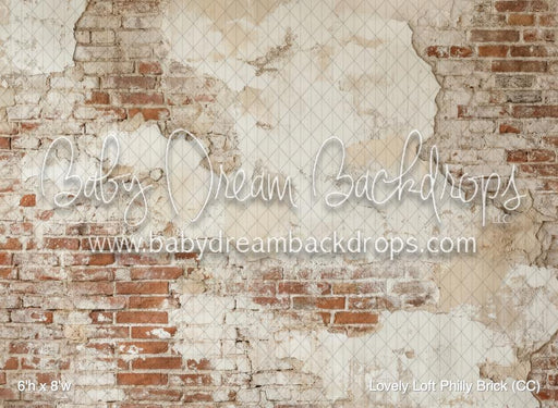Lovely Loft Philly Brick (CC)
