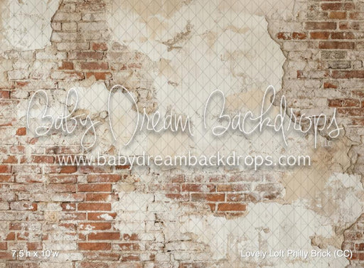 Lovely Loft Philly Brick (CC)