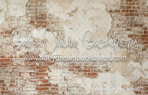Lovely Loft Philly Brick (CC)