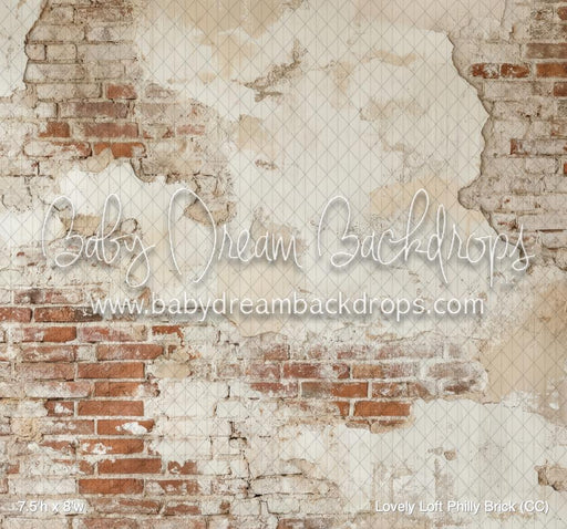 Lovely Loft Philly Brick (CC)