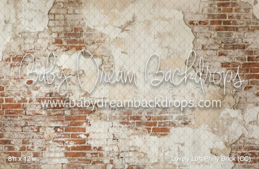 Lovely Loft Philly Brick (CC)