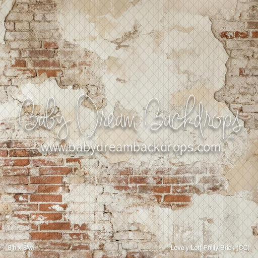 Lovely Loft Philly Brick (CC)