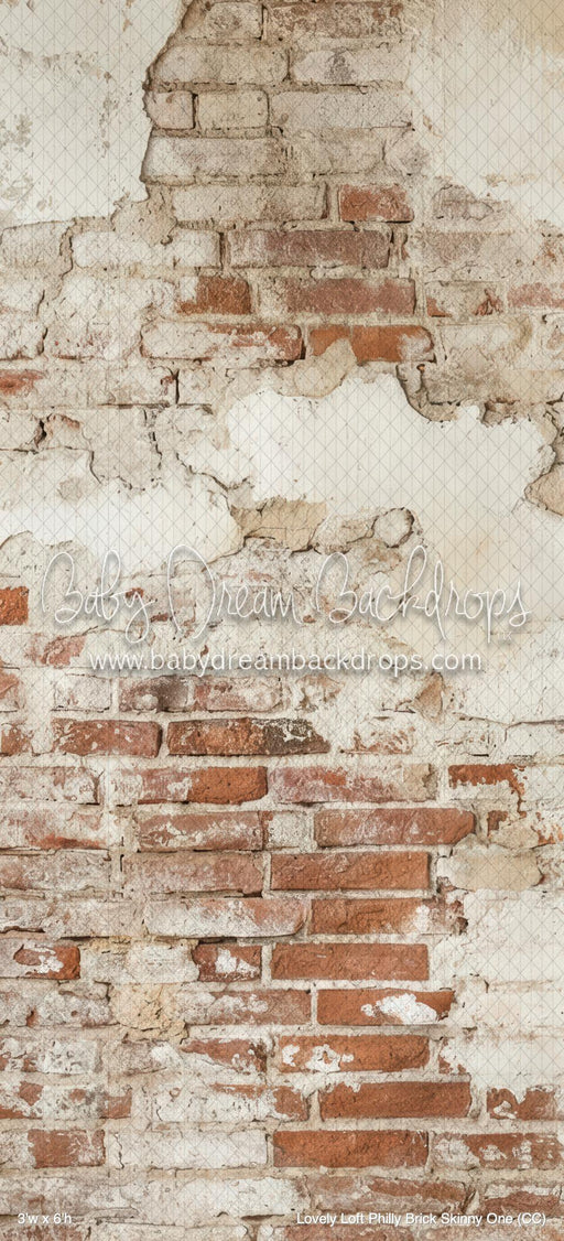 Lovely Loft Philly Brick Skinny One (CC)