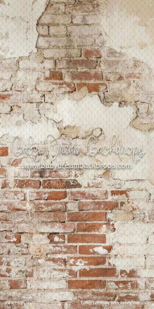 Lovely Loft Philly Brick Skinny One (CC)