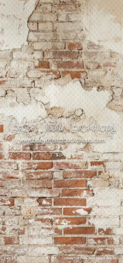 Lovely Loft Philly Brick Skinny One (CC)
