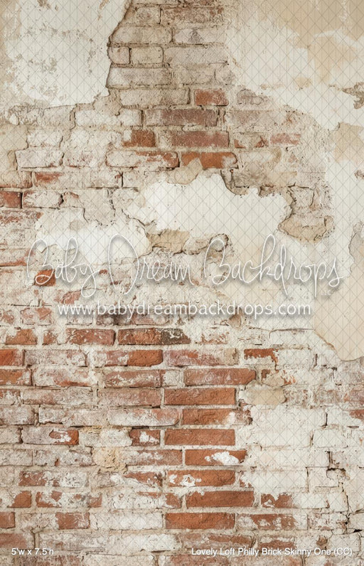 Lovely Loft Philly Brick Skinny One (CC)
