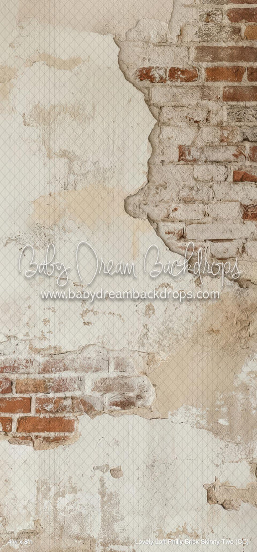 Lovely Loft Philly Brick Skinny Two (CC)