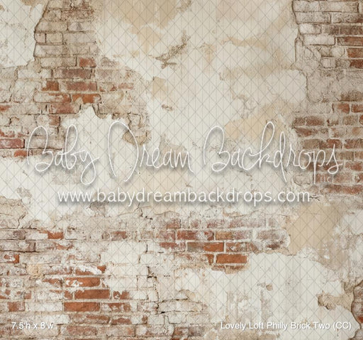 Lovely Loft Philly Brick Two (CC)