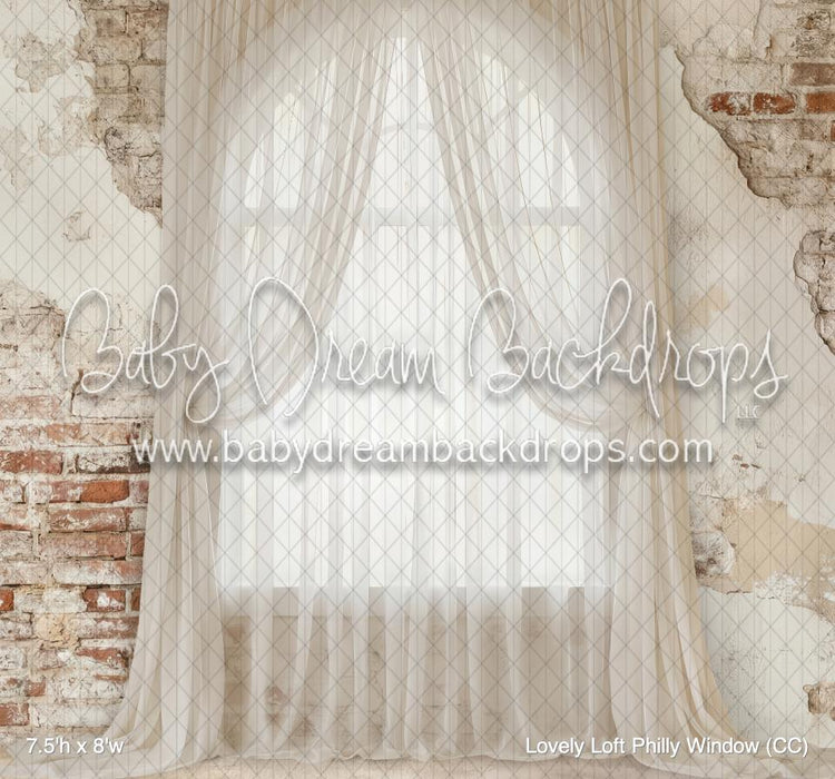 Lovely Loft Philly Window (CC)