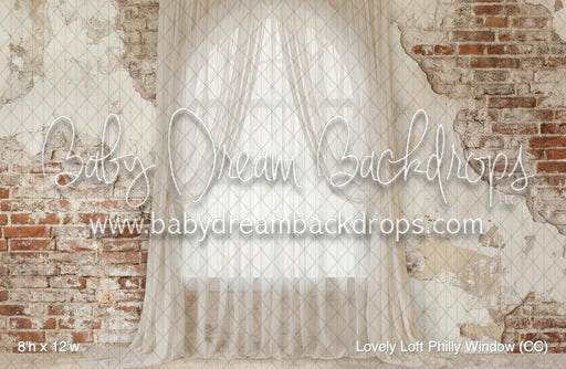 Lovely Loft Philly Window (CC)