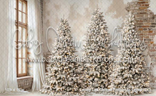 Lovely Loft Serene Christmas Lights (CC)