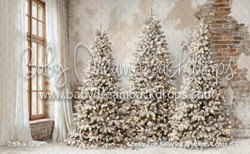 Lovely Loft Serene Christmas Lights (CC)
