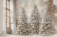 Lovely Loft Serene Christmas Lights (CC)