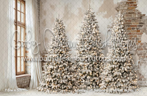 Lovely Loft Serene Christmas Lights (CC)