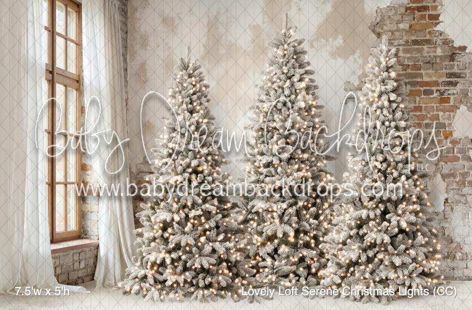 Lovely Loft Serene Christmas Lights (CC)