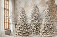 Lovely Loft Serene Christmas Lights (CC)